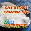 Procaine Powder cas 51-05-8 at Best Price from China Hebei door to door