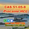 High extraction CAS 51-05-8 Procaine HCL powder